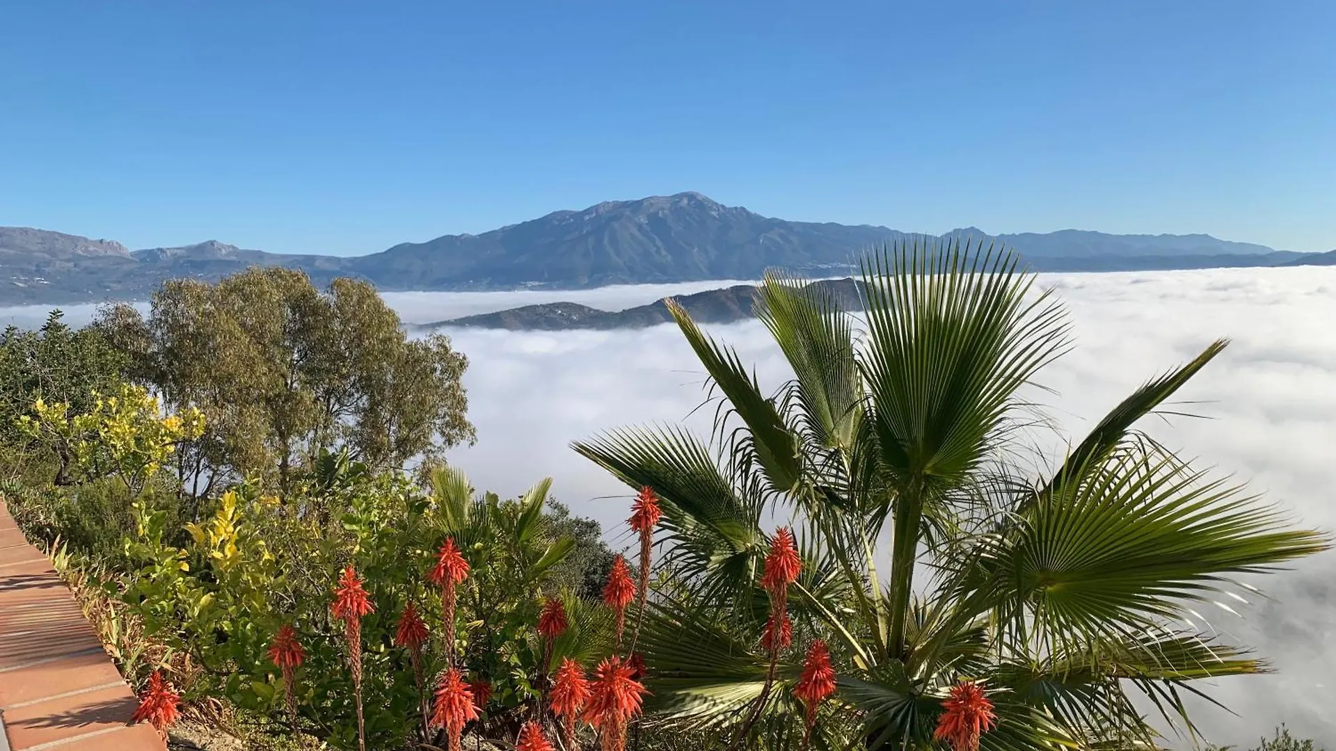 Casa Rural Finca Volando In The Mountains Of Malaga Comares