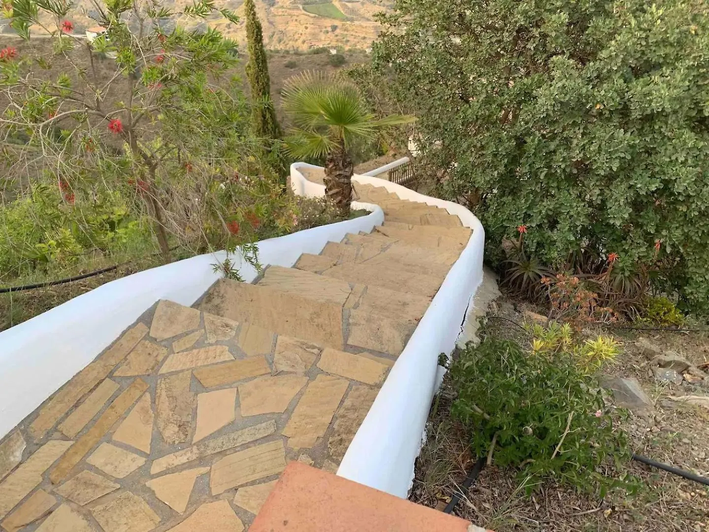 Casa Rural Finca Volando In The Mountains Of Malaga Comares Holiday home